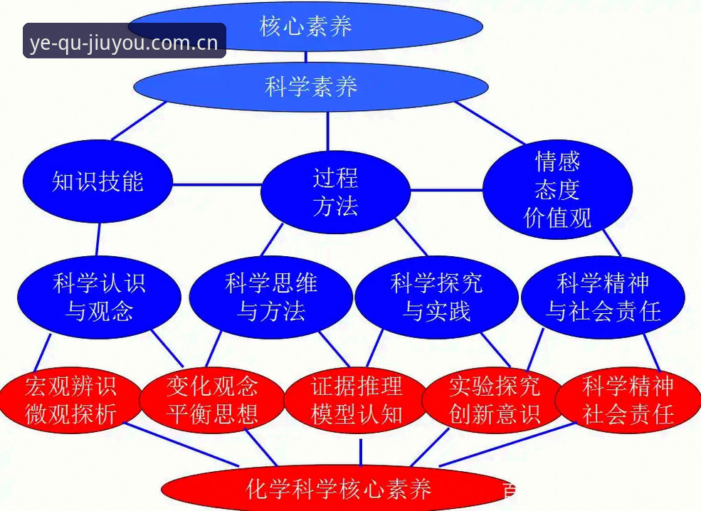 判断"每次打开都是新野趣中国官网入口安全吗"的5个实用维度