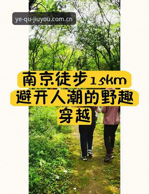 每次打开都是新野趣中国官网入口手机版 老用户亲测:每次打开都是新野趣中国官网入口手机版,这几个坑我替你踩过了